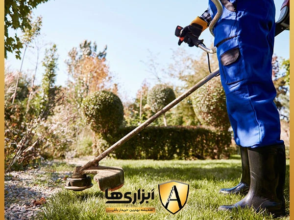 نحوه عملکرد علف زن دو زمانه