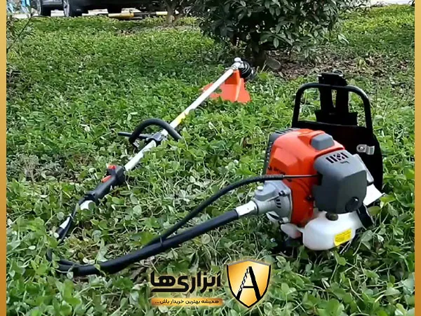 کاربرد علف زن چهار زمانه